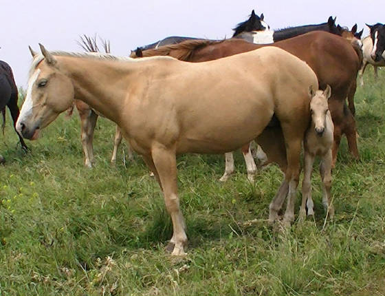 belle2012.jpg