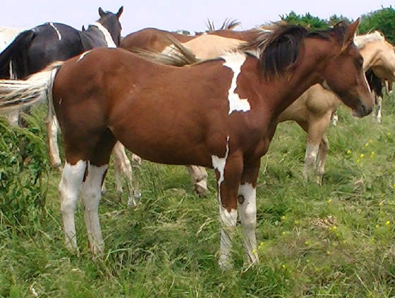 lenamay2012.jpg