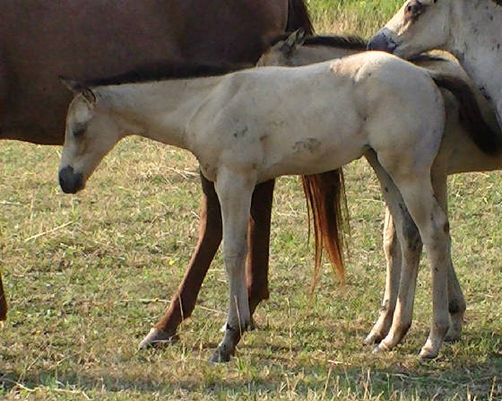mindynb2012.jpg