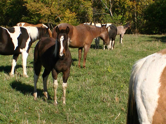 zippfilly21oct2013.jpg