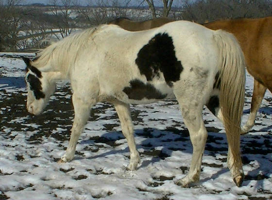 zolaleftwinter2013.jpg