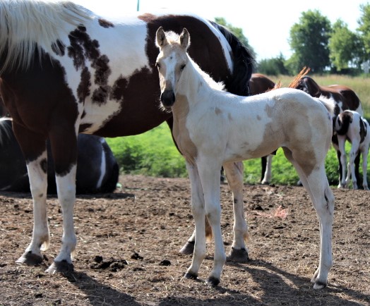 aprilfilly719.jpg