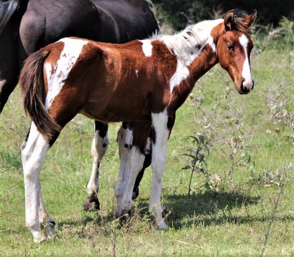beaucoltsept2019.jpg