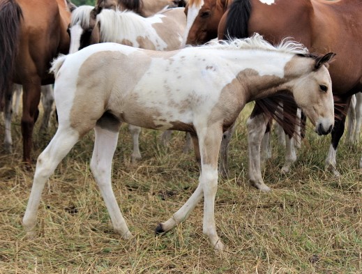 jackiefilly719.jpg