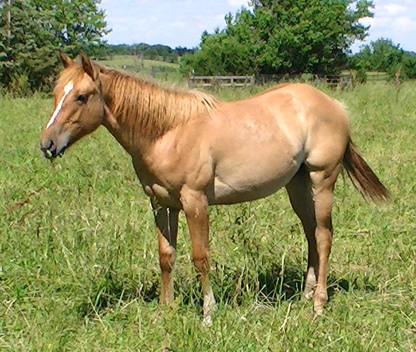 jaydunjune2011.jpg