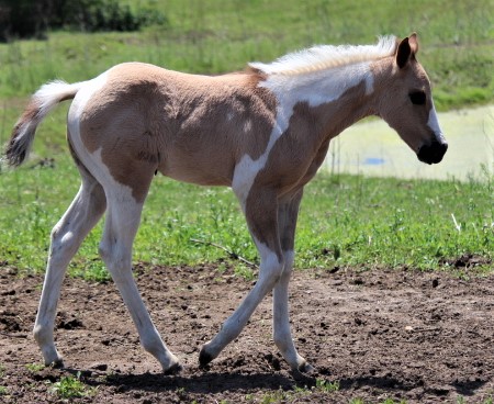may2019coltright.jpg